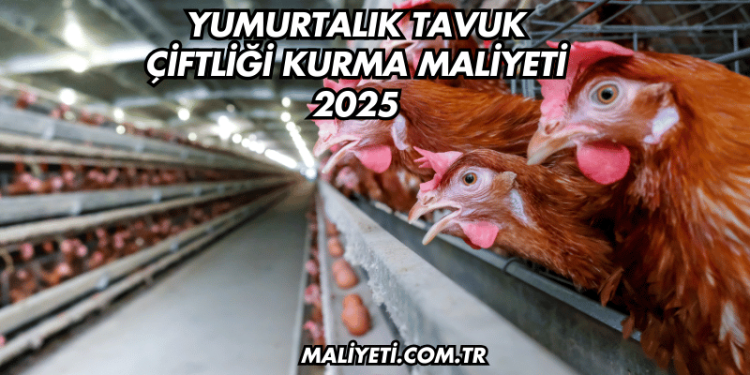 Yumurtalık Tavuk Çiftliği Kurma Maliyeti 2025