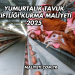 Yumurtalık Tavuk Çiftliği Kurma Maliyeti 2025