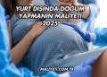 Yurt Dışında Doğum Yapmanın Maliyeti 2025