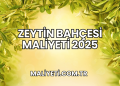 Zeytin Bahçesi Maliyeti 2025