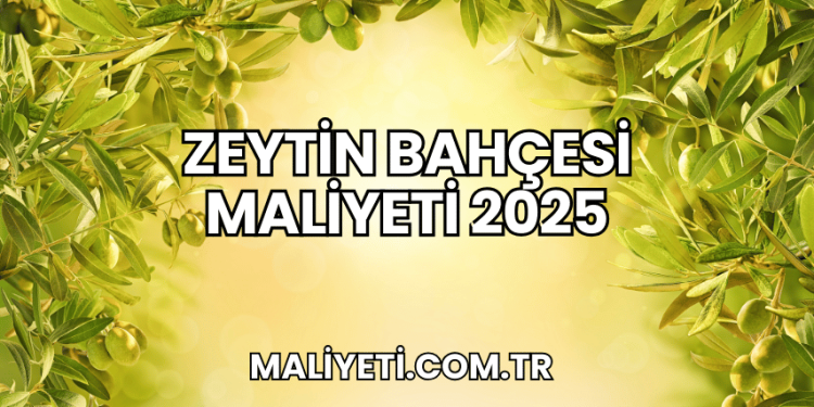 Zeytin Bahçesi Maliyeti 2025