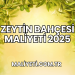 Zeytin Bahçesi Maliyeti 2025