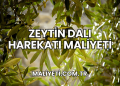 Zeytin Dalı Harekatı maliyeti