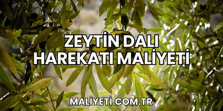 Zeytin Dalı Harekatı maliyeti