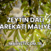 Zeytin Dalı Harekatı maliyeti
