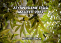 Zeytin İşleme Tesisi Maliyeti 2025