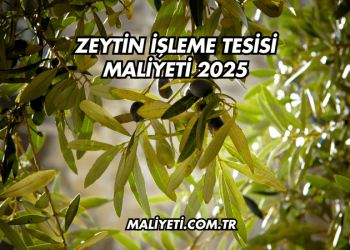 Zeytin İşleme Tesisi Maliyeti 2025