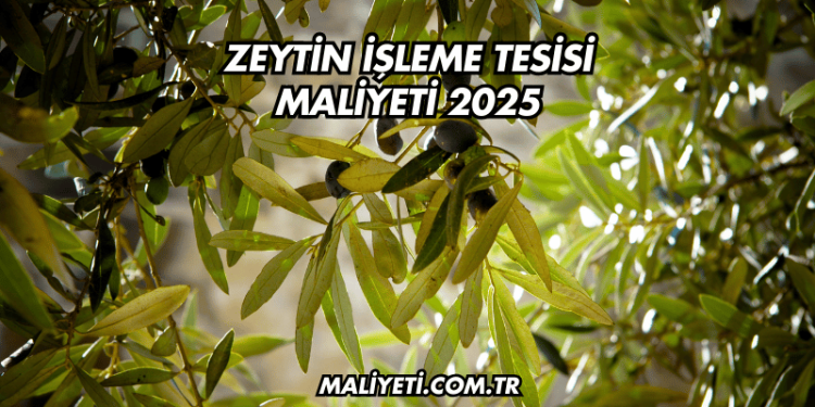 Zeytin İşleme Tesisi Maliyeti 2025