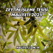 Zeytin İşleme Tesisi Maliyeti 2025