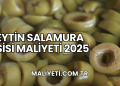 Zeytin Salamura Tesisi Maliyeti 2025