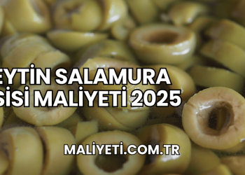 Zeytin Salamura Tesisi Maliyeti 2025