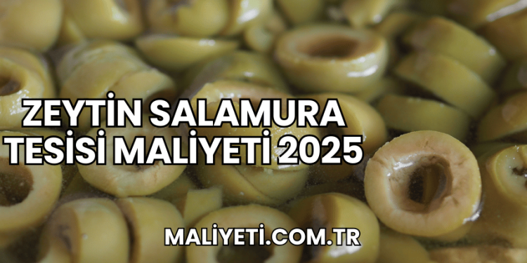 Zeytin Salamura Tesisi Maliyeti 2025