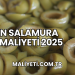Zeytin Salamura Tesisi Maliyeti 2025