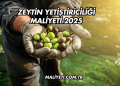 Zeytin Yetiştiriciliği Maliyeti 2025