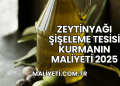 Zeytinyağı Şişeleme Tesisi Kurmanın Maliyeti 2025