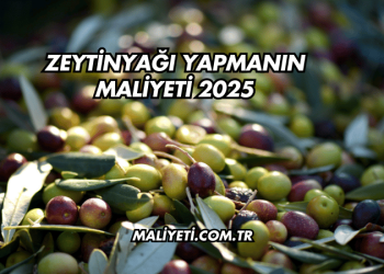 Zeytinyağı Yapmanın Maliyeti 2025