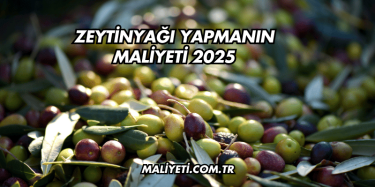 Zeytinyağı Yapmanın Maliyeti 2025