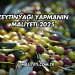Zeytinyağı Yapmanın Maliyeti 2025