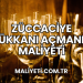 Züccaciye Dükkanı Açmanın Maliyeti