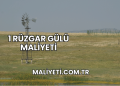 1 Rüzgar Gülü Maliyeti