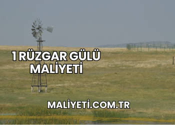 1 Rüzgar Gülü Maliyeti