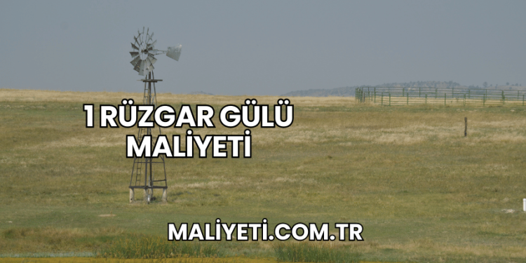 1 Rüzgar Gülü Maliyeti