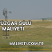 1 Rüzgar Gülü Maliyeti
