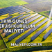 1 kW Güneş Enerjisi Kurulum Maliyeti