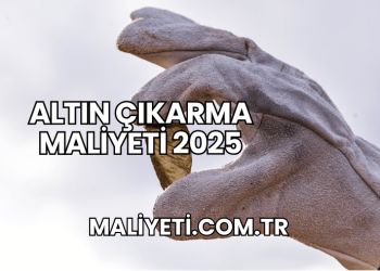 Altın Çıkarma Maliyeti 2025