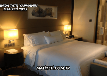 Aydın'da Tatil Yapmanın Maliyeti 2025