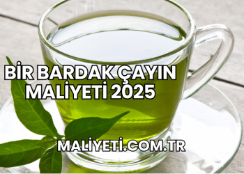Bir Bardak Çayın Maliyeti 2025