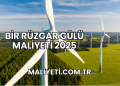 Bir Rüzgar Gülü Maliyeti 2025