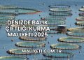 Denizde Balık Çiftliği Kurma Maliyeti 2025