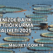 Denizde Balık Çiftliği Kurma Maliyeti 2025