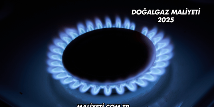 Doğalgaz Maliyeti 2025