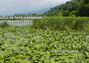 Düzce'de Tatil Yapmanın Maliyeti 2025