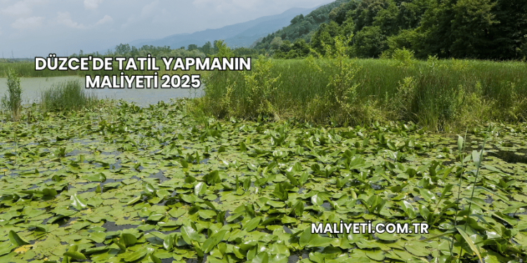 Düzce'de Tatil Yapmanın Maliyeti 2025