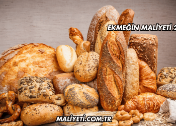 Ekmeğin Maliyeti 2025