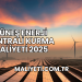 Güneş Enerji Santrali Kurma Maliyeti 2025