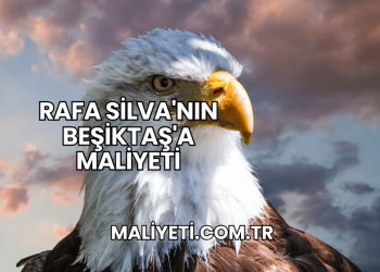 Rafa Silva'nın Beşiktaş'a Maliyeti