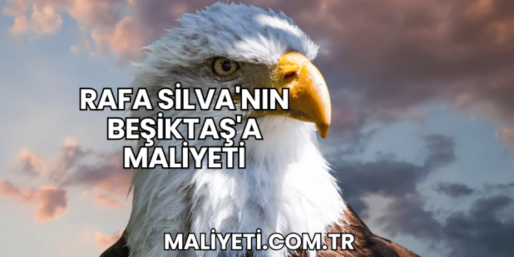 Rafa Silva'nın Beşiktaş'a Maliyeti