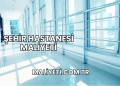 Şehir Hastanesi Maliyeti