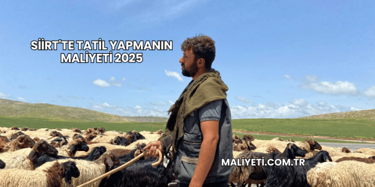 Siirt'te Tatil Yapmanın Maliyeti 2025