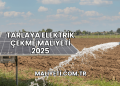 Tarlaya Elektrik Çekme Maliyeti 2025