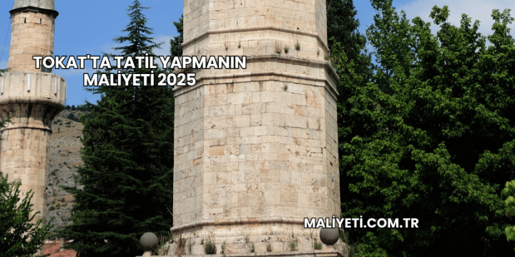 Tokat'ta Tatil Yapmanın Maliyeti 2025