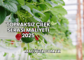 Topraksız Çilek Serası Maliyeti 2025