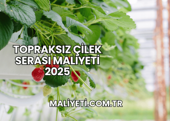Topraksız Çilek Serası Maliyeti 2025