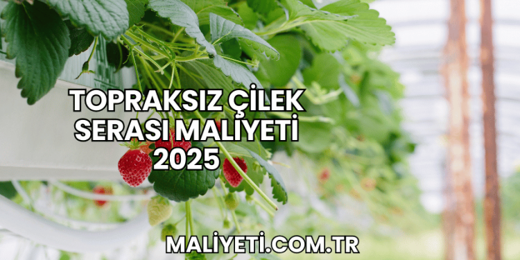 Topraksız Çilek Serası Maliyeti 2025