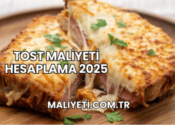 Tost Maliyeti Hesaplama 2025