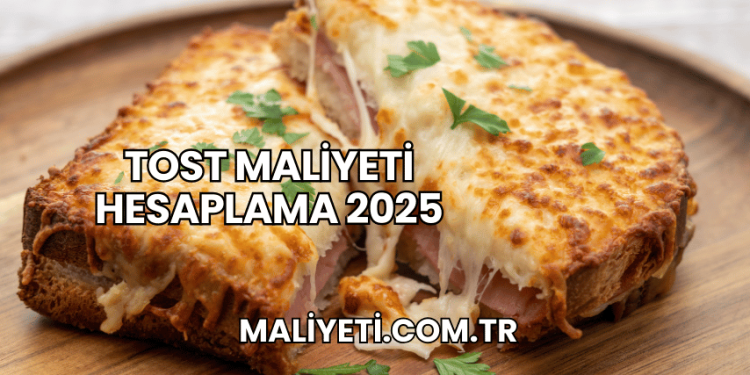 Tost Maliyeti Hesaplama 2025